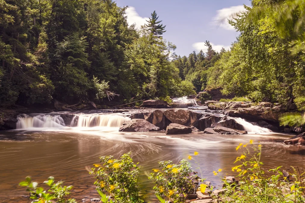 Swallows Falls State Park 36 Swallows Falls State Park (Maryland)
