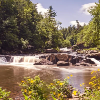 Swallows Falls State Park