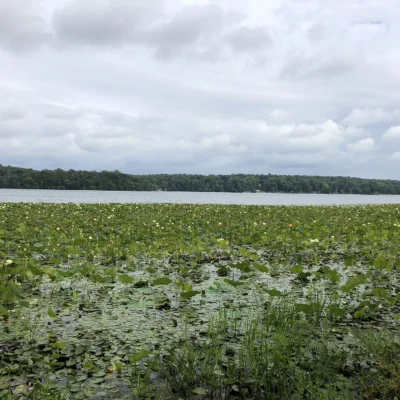 Swartswood State Park
