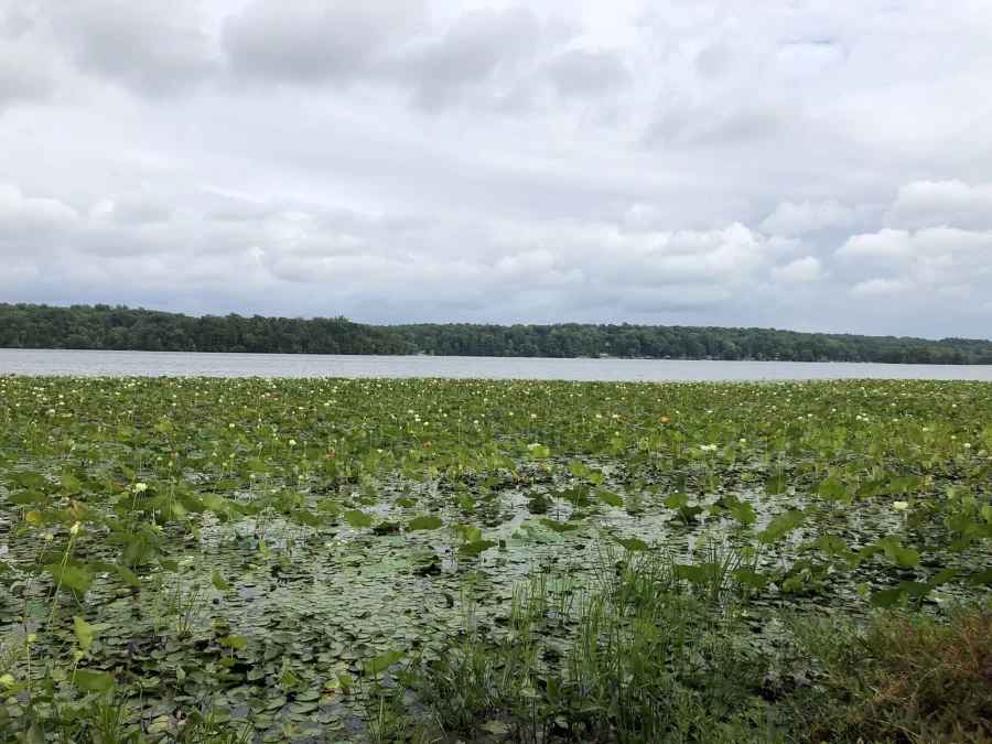Swartswood State Park (New Jersey)