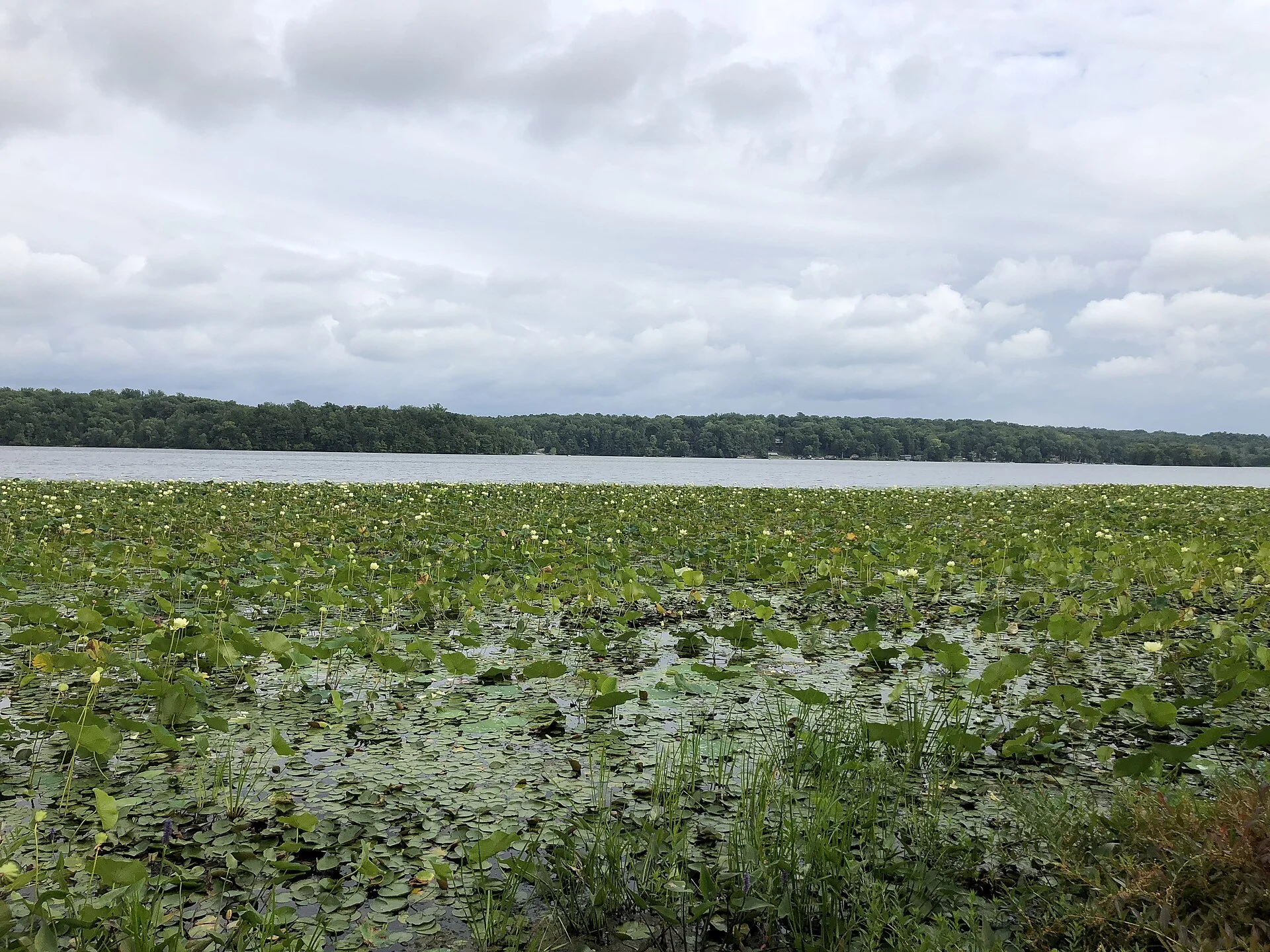 Swartswood State Park
