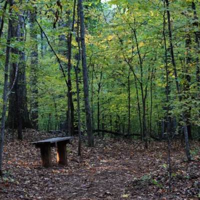 Sweetwater Creek State Park