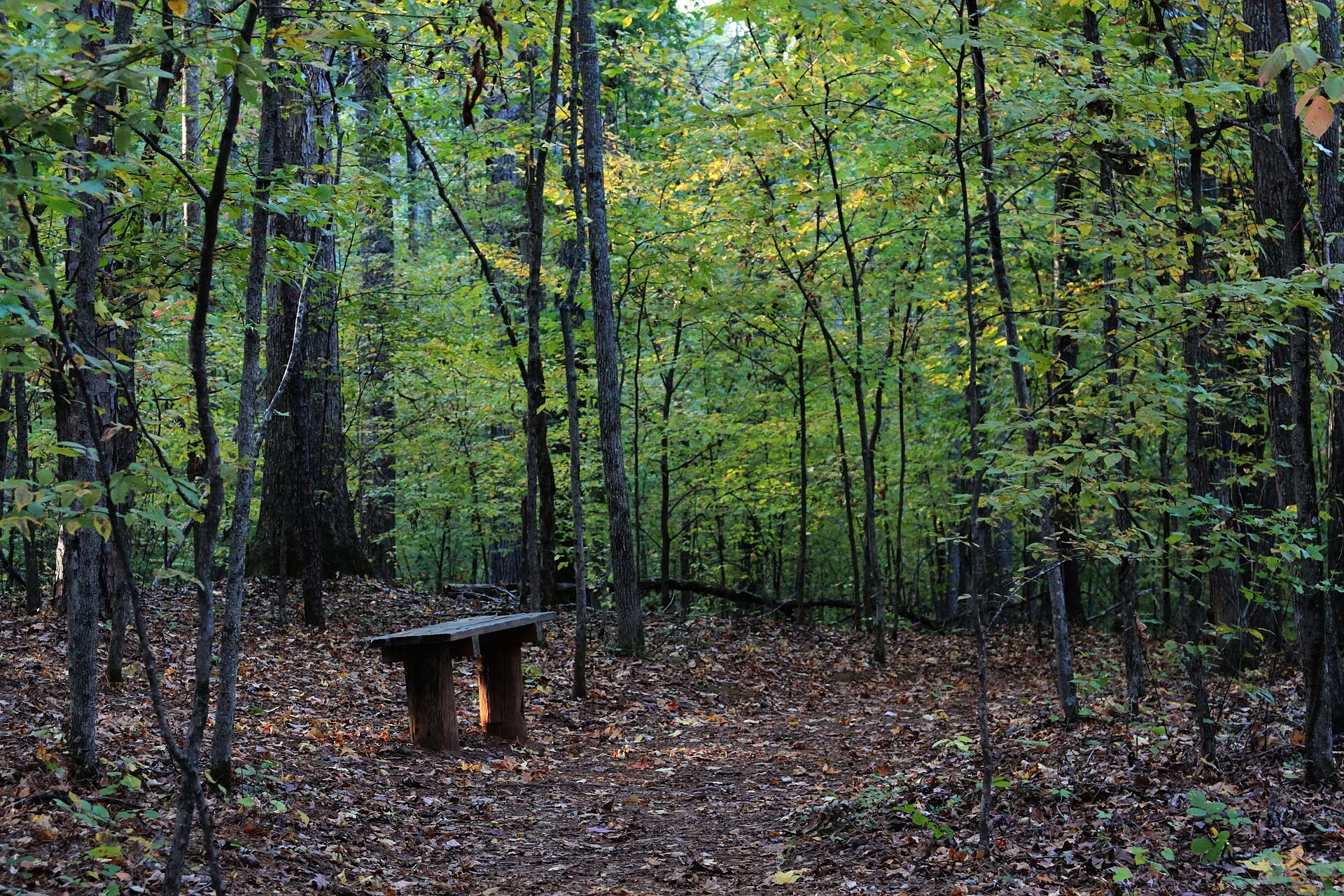Sweetwater Creek State Park