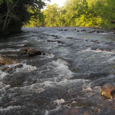 Sycamore Shoals State Historic Park