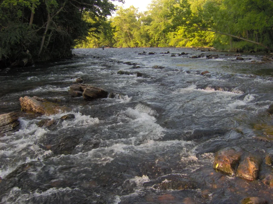 Sycamore Shoals State Historic Park (Tennessee)