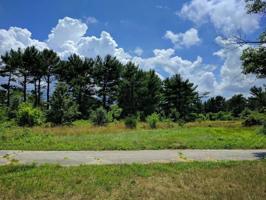 Tall Pines State Preserve (New-Jersey)