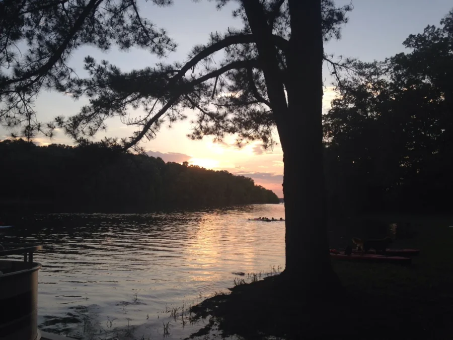 Tims Ford State Park (Tennessee)