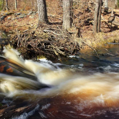 Tobyhanna State Park