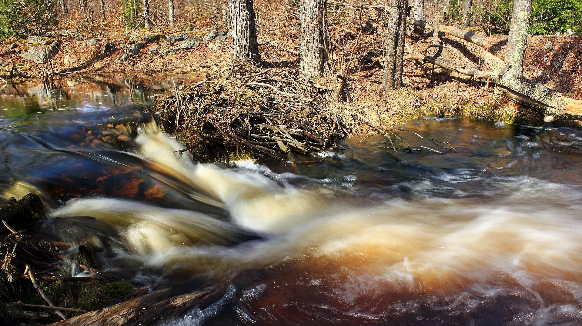 Tobyhanna State Park