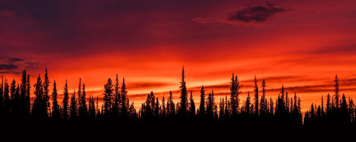 Tok River State Recreation Site (Alaska)