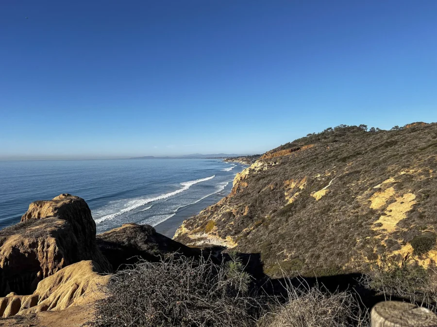 Torrey Pines State Natural Reserve 218 Sandstone bluffs and coastline seen from a clifftop at Torrey Pines State Natural Reserve, California