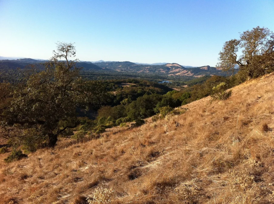 Trione-Annadel State Park 248 Trione-Annadel State Park (California)