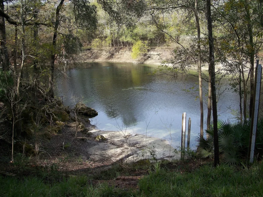 Troy Spring State Park 100 Clear spring pool framed by oaks and palmettos at Troy Spring State Park, Florida