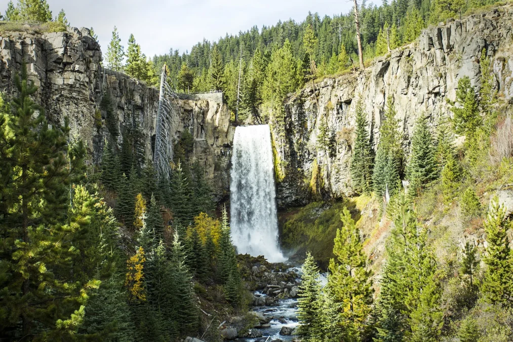 Tumalo Falls 136 Tumalo Falls dropping into a forested basalt canyon, Oregon