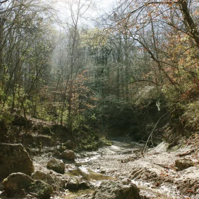 Tunica Hills Wildlife Management Area