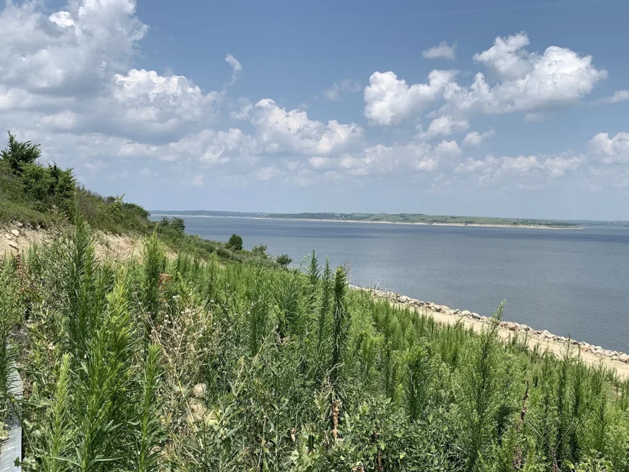 Tuttle Creek State Park 16 West shore of Tuttle Creek Lake with tall prairie grass, Tuttle Creek State Park, Kansas