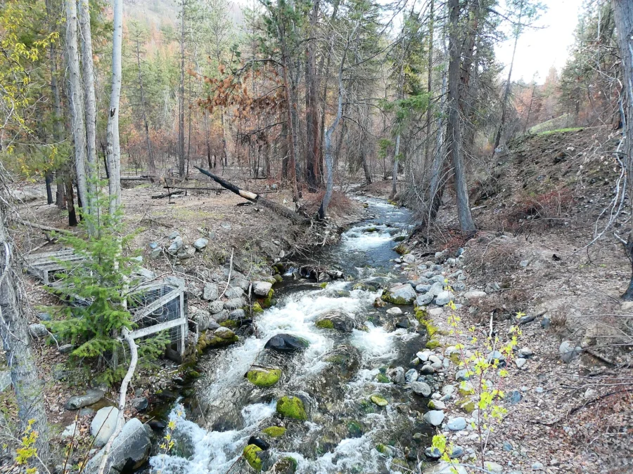 Twenty-Five Mile Creek State Park 144 Twenty-Five Mile Creek State Park (Washington)