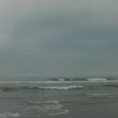 Twin Harbors State Park