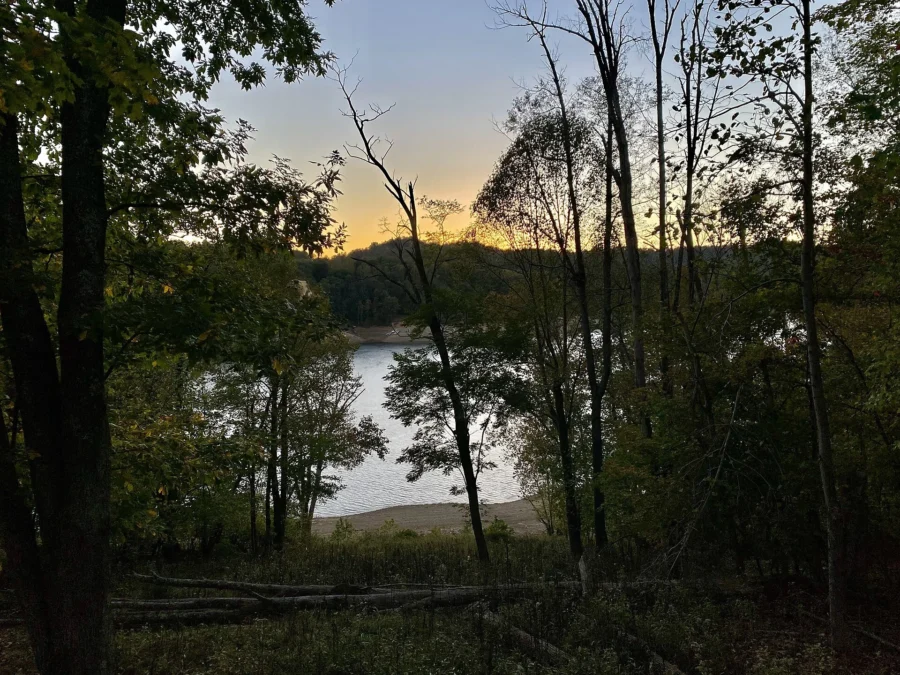 Tygart Lake State Park (West Virginia)