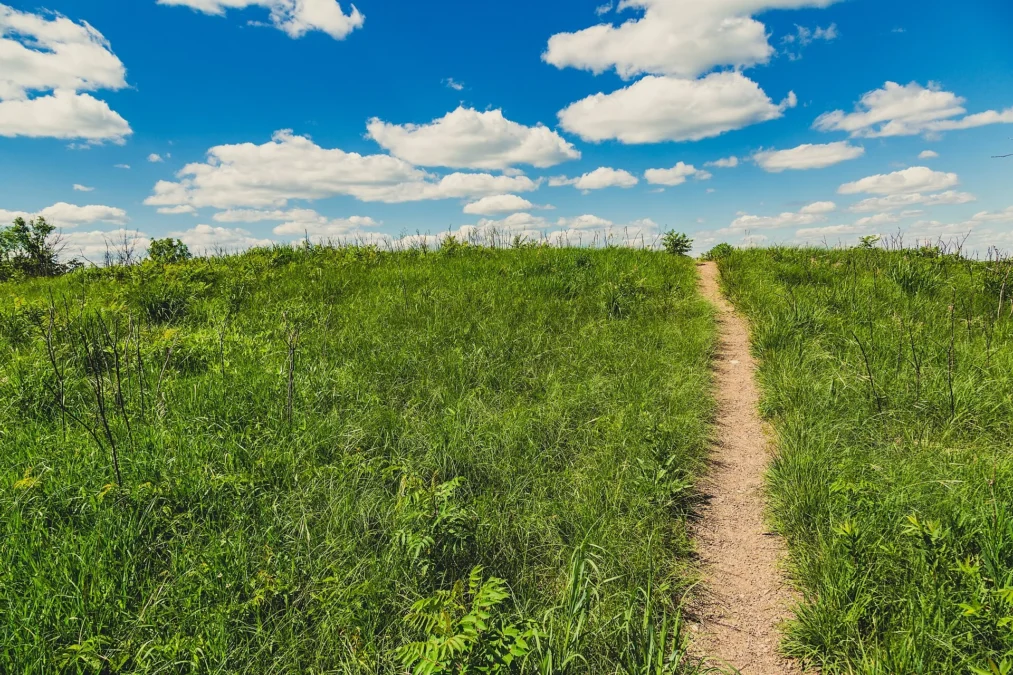 Upper Sioux Agency State Park (Minnesota)