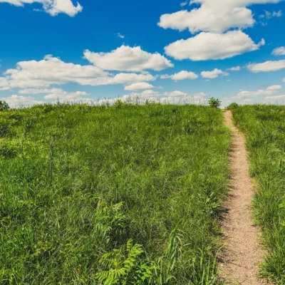 Upper Sioux Agency State Park