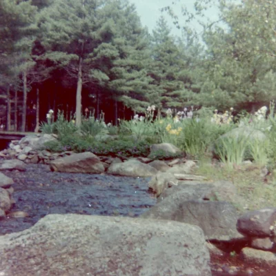 Upton State Forest
