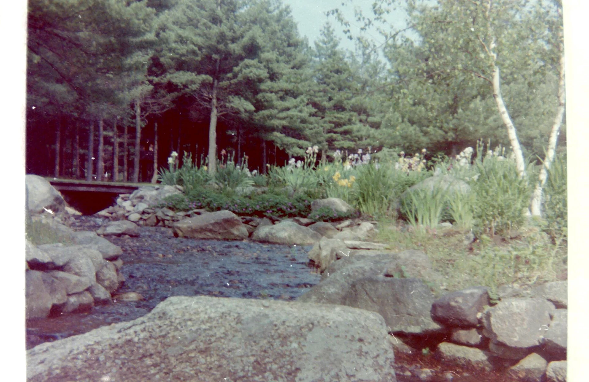 Upton State Forest