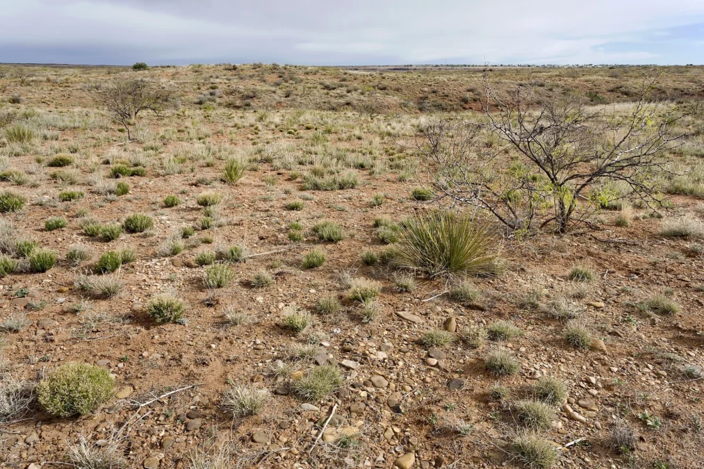 Ute Lake State Park (New Mexico)
