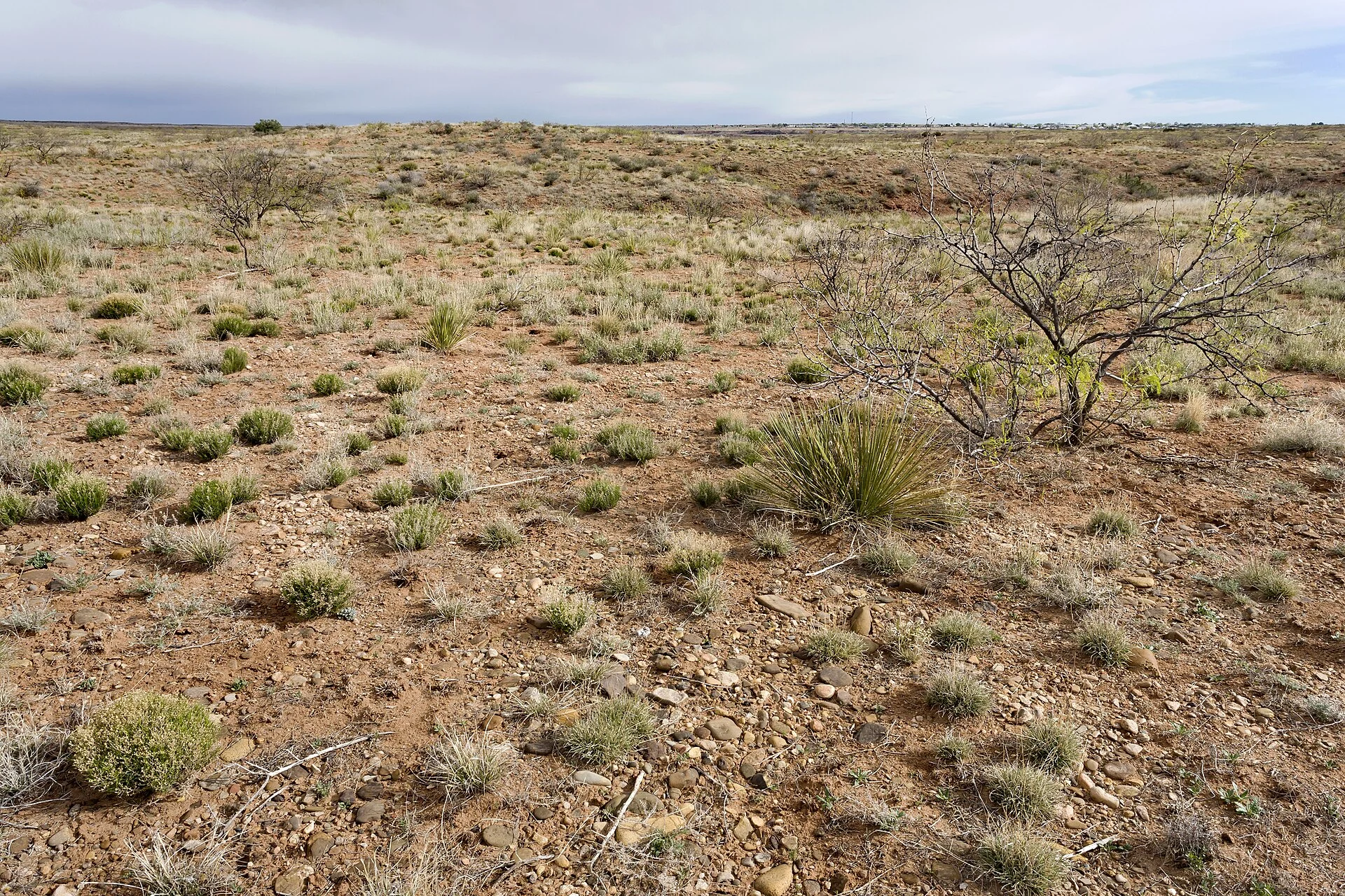 Ute Lake State Park