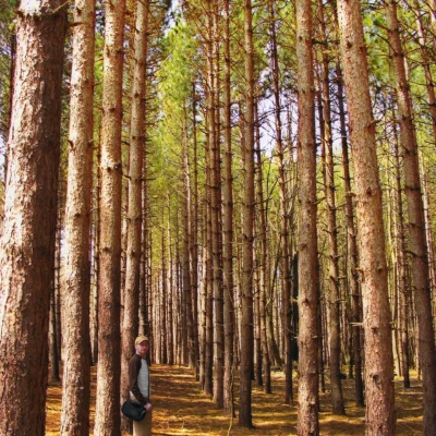 Varden Conservation Area