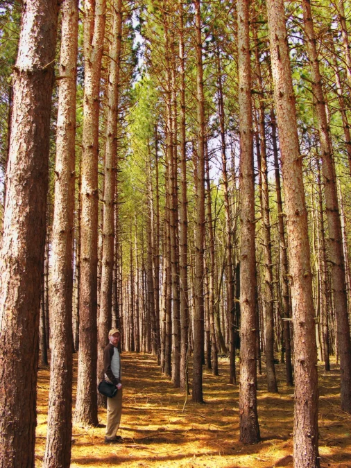 Varden Conservation Area (Pennsylvania)