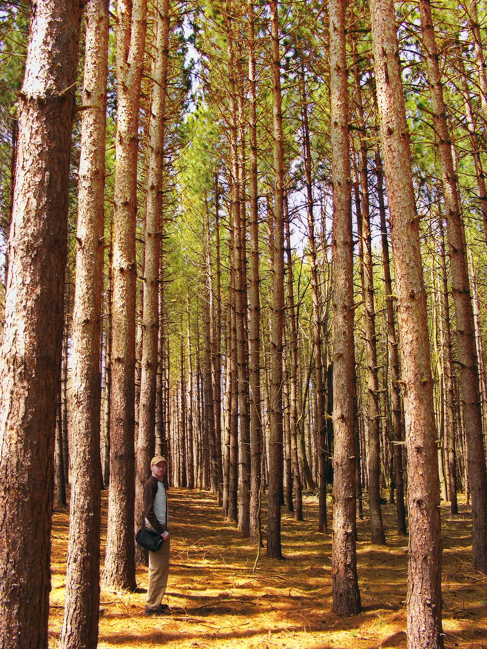Varden Conservation Area