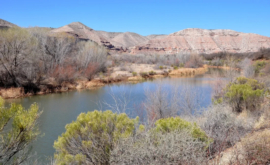 Verde River Greenway State Natural Area (Arizona)