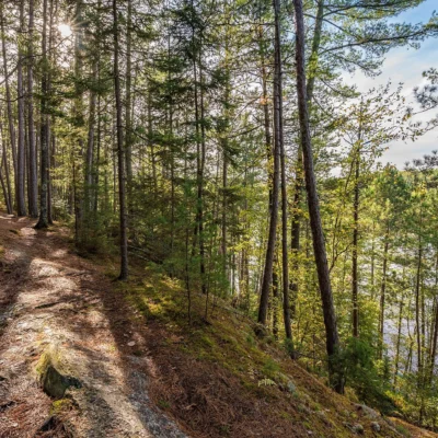 Vermilion Falls Trail