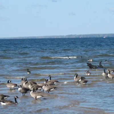 Verona Beach State Park