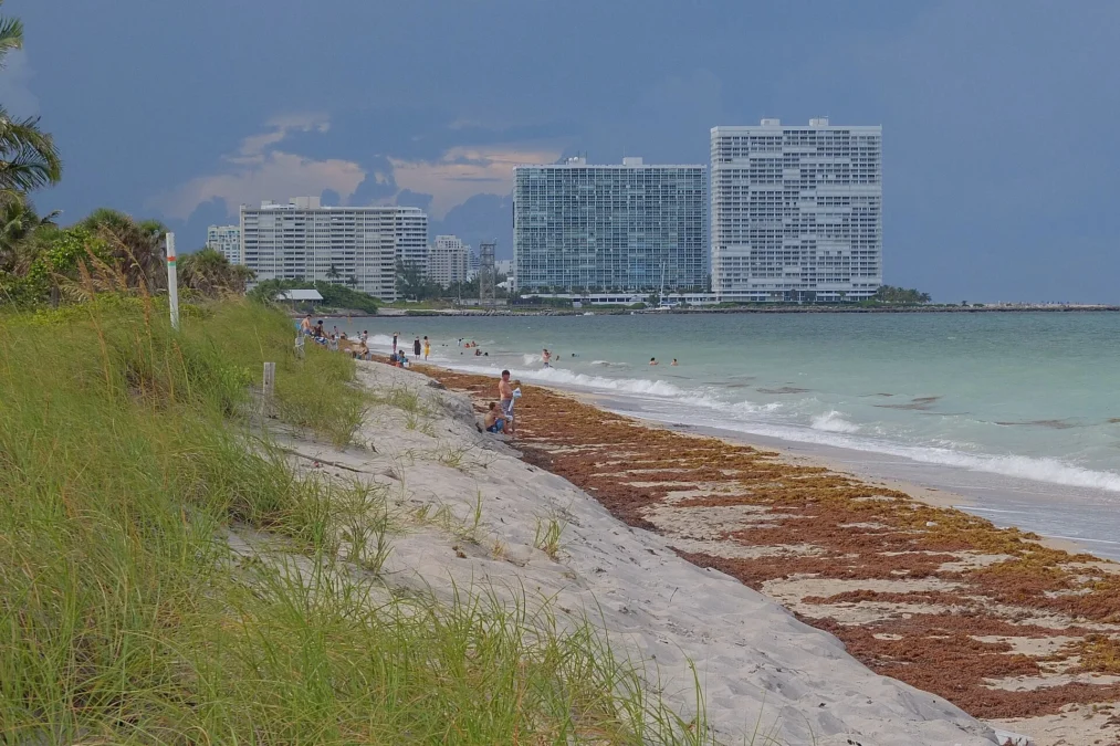 Von D. Mizell-Eula Johnson State Park (Florida)