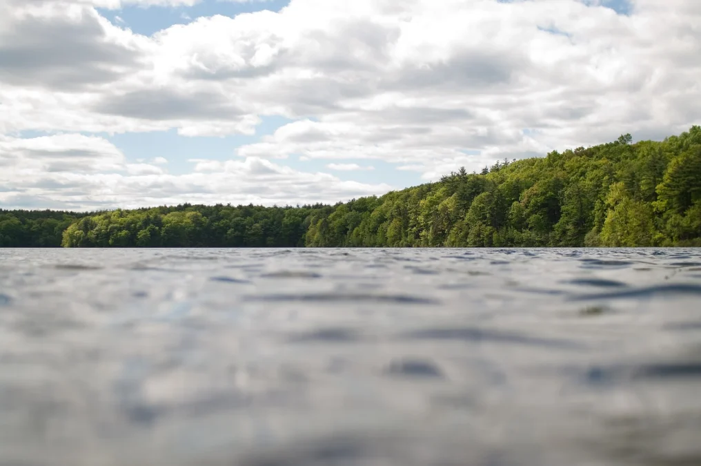 Walden Pond State Reservation (Massachusetts)