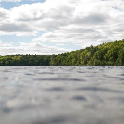Walden Pond State Reservation