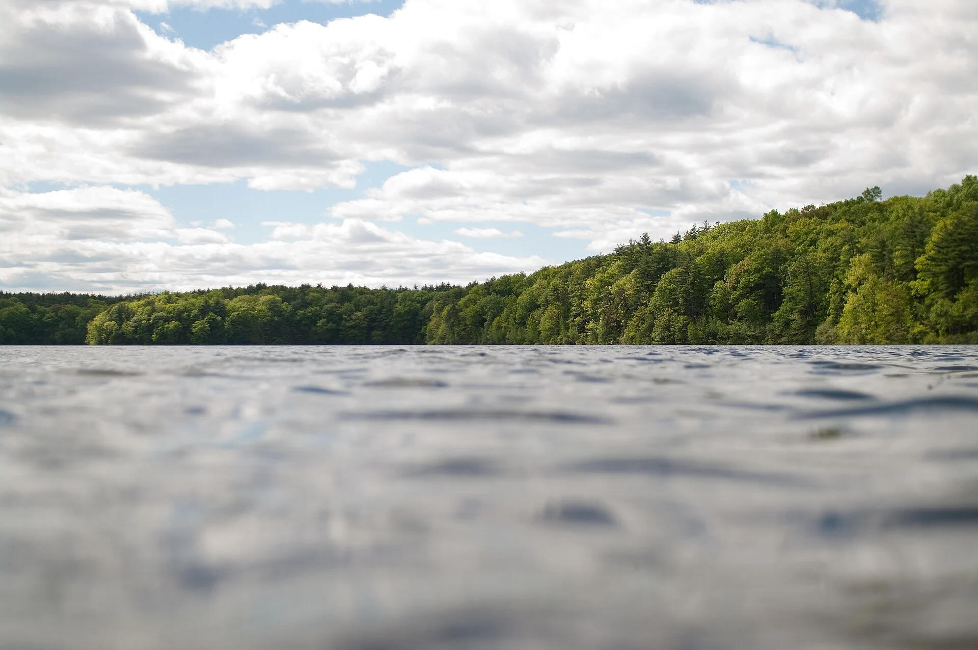 Walden Pond State Reservation