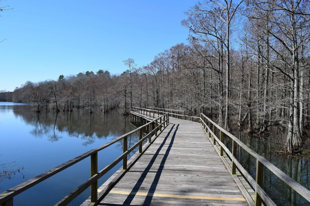 Wall Doxey State Park (Mississippi)