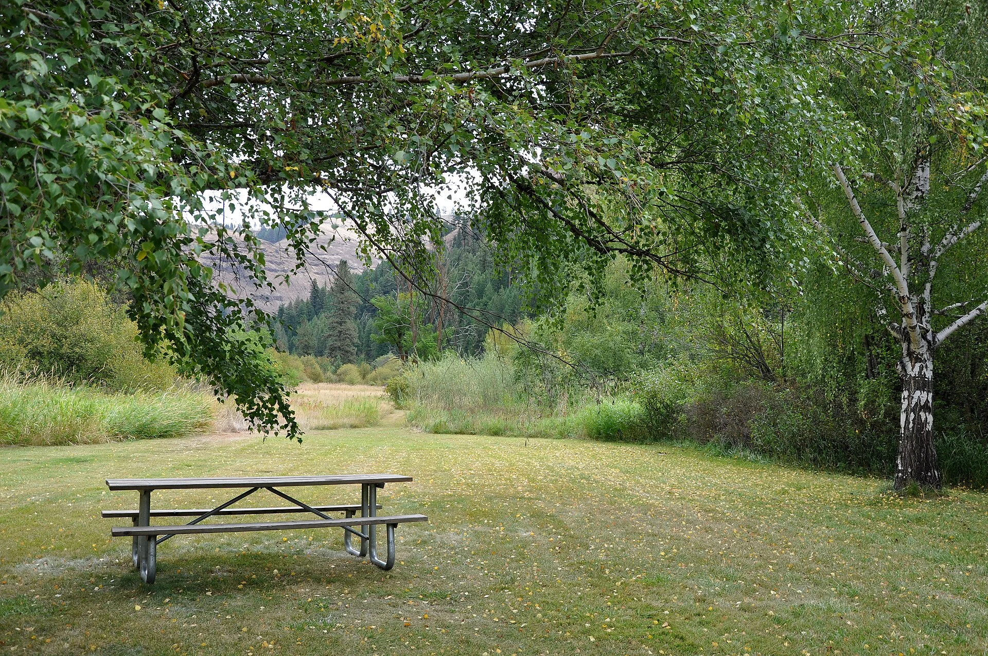 Wallowa River Rest Area