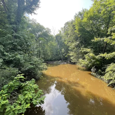 Warren Woods State Park