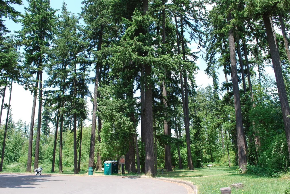 Washburne State Wayside (Oregon)