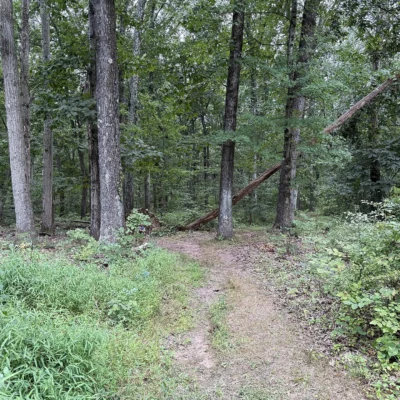 Washington Crossing State Park