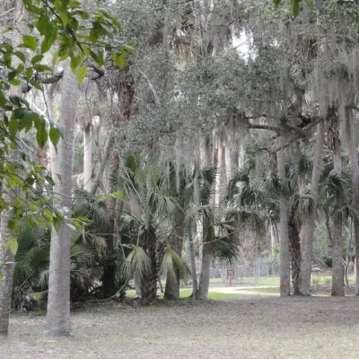 Washington Oaks Gardens State Park