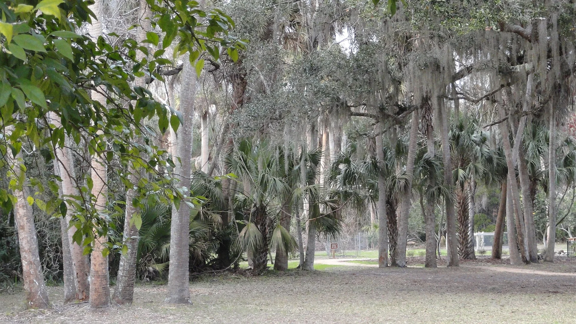 Washington Oaks Gardens State Park
