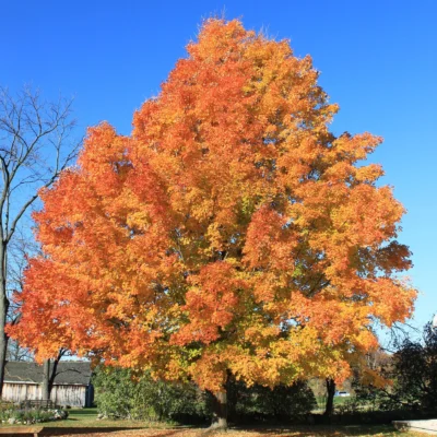Waterloo Recreation Area