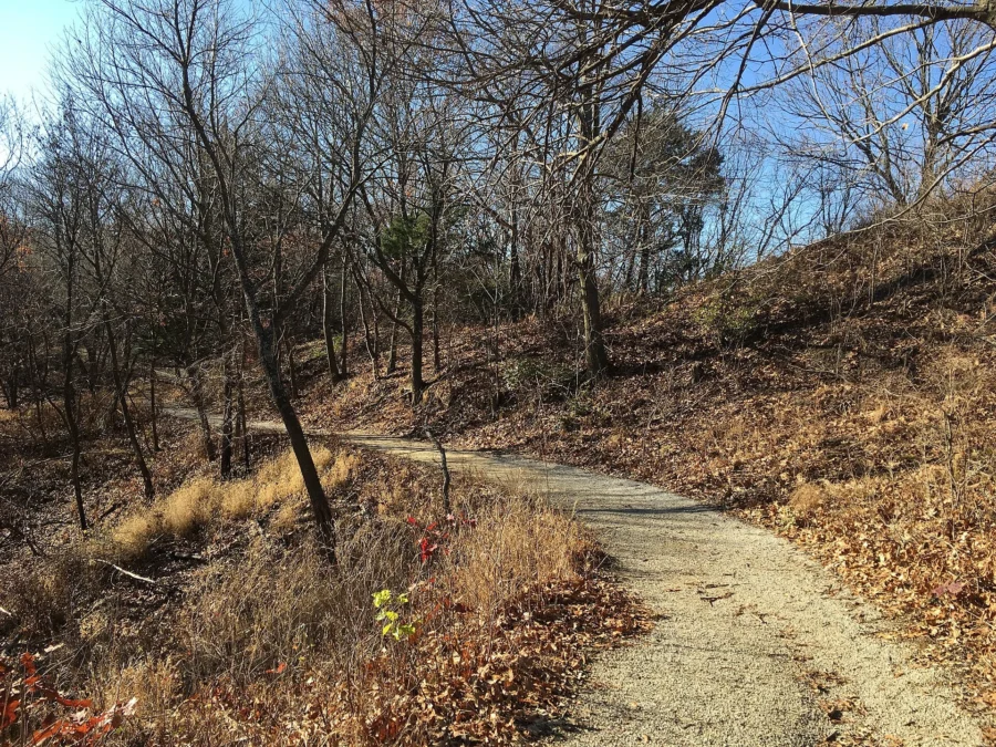 Waubonsie State Park (Iowa)