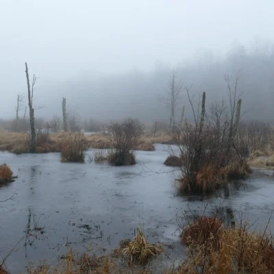 Wawayanda State Park