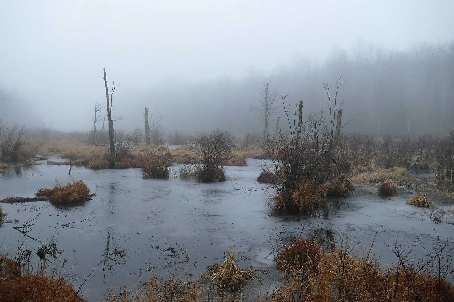 Wawayanda State Park